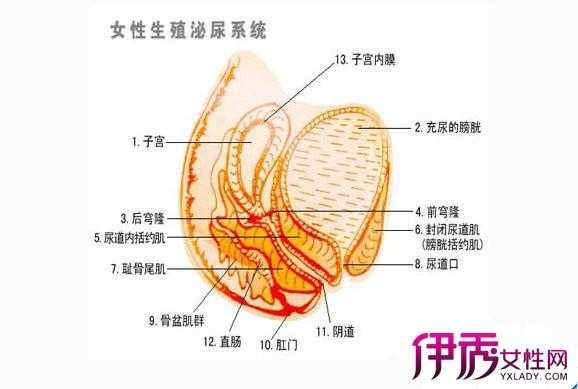孕期出血是怎么回事,孕妇尿道口两边的肉痒怎么办 第1张 孕期出血是怎么回事,孕妇尿道口两边的肉痒怎么办 第1张