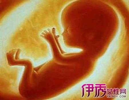 孕七月胎儿图(七月生下来的宝宝叫什么) 第2张 孕七月胎儿图(七月生下来的宝宝叫什么) 第2张