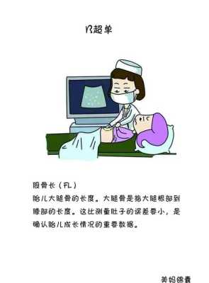 fl是指胎儿的什么(FL什么意思) 第2张 fl是指胎儿的什么(FL什么意思) 第2张
