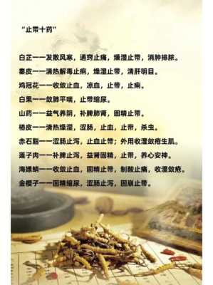 中药保胎对胎儿的好处(怀孕后能吃中药吗) 第2张 中药保胎对胎儿的好处(怀孕后能吃中药吗) 第2张