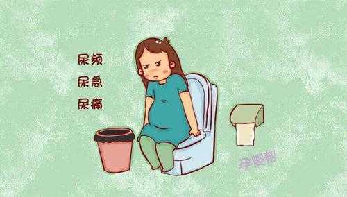 孕期排尿困难(孕期排尿困难怎么办) 第2张 孕期排尿困难(孕期排尿困难怎么办) 第2张