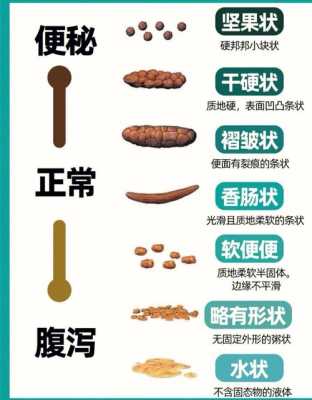 大便很粗是什么原因怎么办,孕期大便粗大是什么原因 第3张 大便很粗是什么原因怎么办,孕期大便粗大是什么原因 第3张
