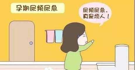 孕期不尿频（怀孕期间尿频是怎么回事）  第2张