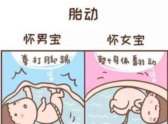 孕期走姿(孕期走路胎动厉害) 第2张 孕期走姿(孕期走路胎动厉害) 第2张