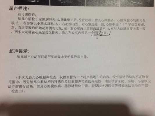 左心室强回声点是什么原因,胎儿左心室内强回声点是什么意思  第2张