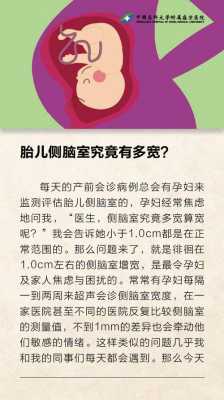脑室宽对胎儿有何影响(脑室宽对胎儿有影响吗) 第1张 脑室宽对胎儿有何影响(脑室宽对胎儿有影响吗) 第1张