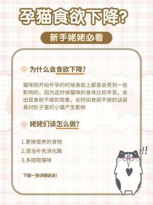 猫孕期饮食(孕猫需要额外补充什么营养) 第3张 猫孕期饮食(孕猫需要额外补充什么营养) 第3张