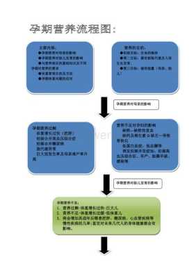 围生儿什么意思,围孕期营养管理 第1张 围生儿什么意思,围孕期营养管理 第1张