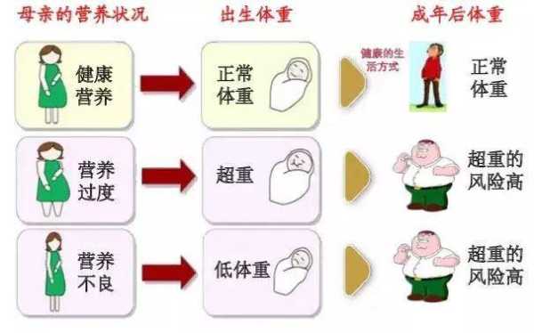 围生儿什么意思,围孕期营养管理 第2张 围生儿什么意思,围孕期营养管理 第2张