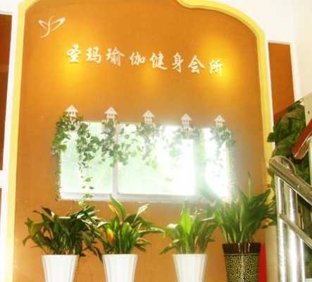 圣玛瑜伽怎么样,孕期瑜伽加盟策划  第1张