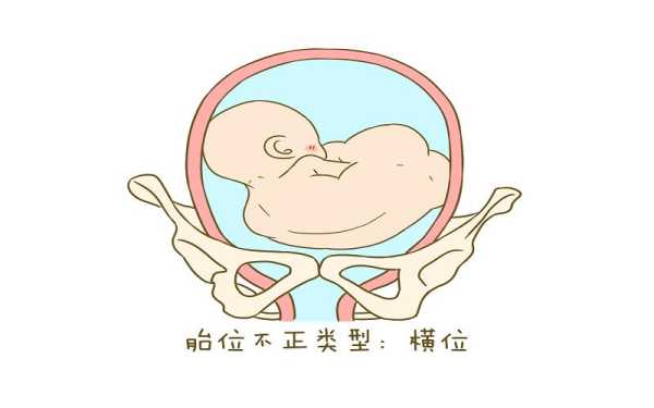 30周胎儿在母体的姿势（30周胎儿在母体的姿势是横位）  第3张