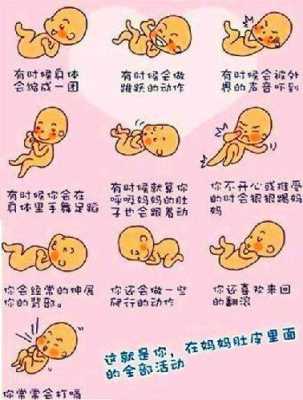 胎儿在肚子的左边还是右边(胎动在右边吗) 第3张 胎儿在肚子的左边还是右边(胎动在右边吗) 第3张