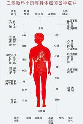 孕期血液粘稠(孕期血液粘稠应该怎样调理) 第2张 孕期血液粘稠(孕期血液粘稠应该怎样调理) 第2张