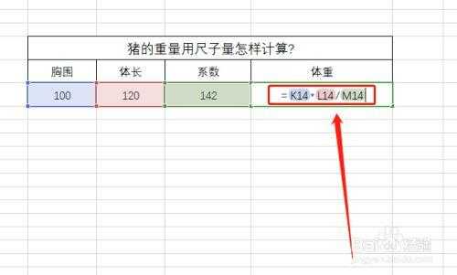 怎么计算胎儿体重计算器(怎样用尺寸计算猪的重量) 第1张 怎么计算胎儿体重计算器(怎样用尺寸计算猪的重量) 第1张