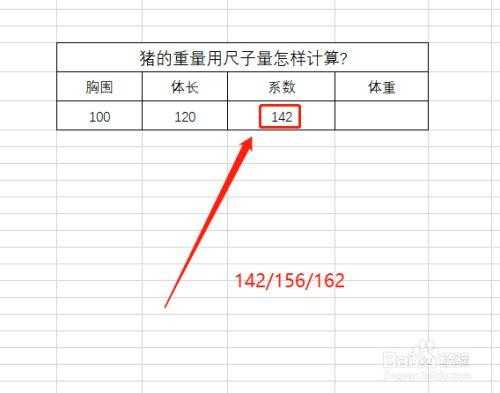 怎么计算胎儿体重计算器(怎样用尺寸计算猪的重量) 第3张 怎么计算胎儿体重计算器(怎样用尺寸计算猪的重量) 第3张