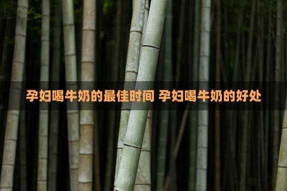 孕妇什么时间段喝牛奶最好?早上喝还是晚上喝好啊,孕期多喝牛奶的好处 第3张 孕妇什么时间段喝牛奶最好?早上喝还是晚上喝好啊,孕期多喝牛奶的好处 第3张
