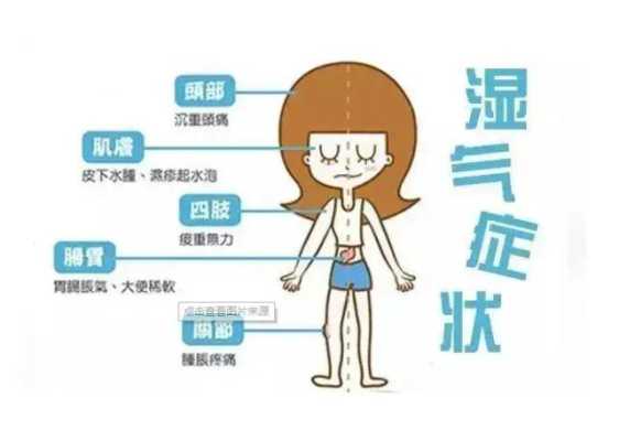 孕期如何祛湿(体内湿气重,如何有效祛湿) 第3张 孕期如何祛湿(体内湿气重,如何有效祛湿) 第3张