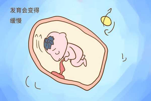 当羊发生胎儿浸溶或胎儿干尸化时怎么办,浸软胎儿图片  第2张