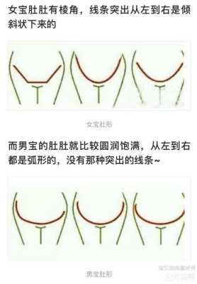 孕期肚型变化(平底锅肚型形成原因) 第2张 孕期肚型变化(平底锅肚型形成原因) 第2张