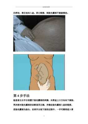 胎儿触诊法(胎儿触诊步骤) 第3张 胎儿触诊法(胎儿触诊步骤) 第3张