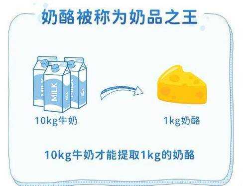 什么是脱脂奶精,糜蛋白酶对胎儿有影响吗 第2张 什么是脱脂奶精,糜蛋白酶对胎儿有影响吗 第2张
