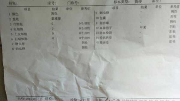 宝宝大便有真菌孢子,这是什么原因导致的呢,感染胎儿有没有危险 第1张 宝宝大便有真菌孢子,这是什么原因导致的呢,感染胎儿有没有危险 第1张