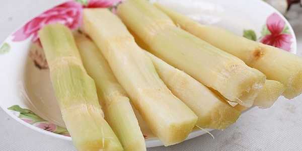 孕期吃甘蔗好吗(孕期吃甘蔗好吗有营养吗) 第2张 孕期吃甘蔗好吗(孕期吃甘蔗好吗有营养吗) 第2张