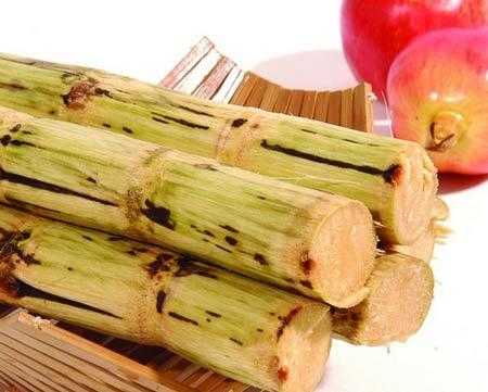 孕期吃甘蔗好吗(孕期吃甘蔗好吗有营养吗) 第3张 孕期吃甘蔗好吗(孕期吃甘蔗好吗有营养吗) 第3张