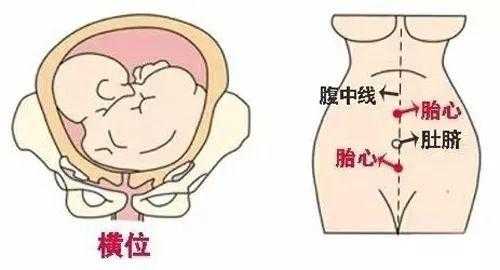 胎儿心跳在左边(胎儿心跳在左边是男孩女孩) 第2张 胎儿心跳在左边(胎儿心跳在左边是男孩女孩) 第2张