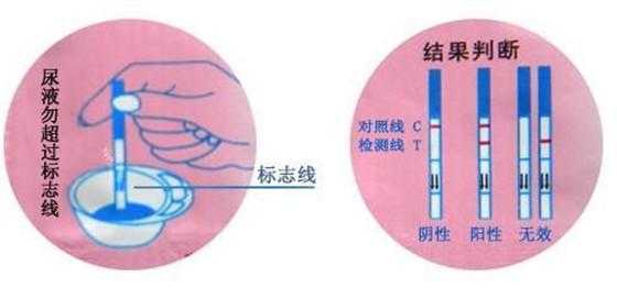 测胎儿孕龄(测胎龄是什么意思) 第1张 测胎儿孕龄(测胎龄是什么意思) 第1张