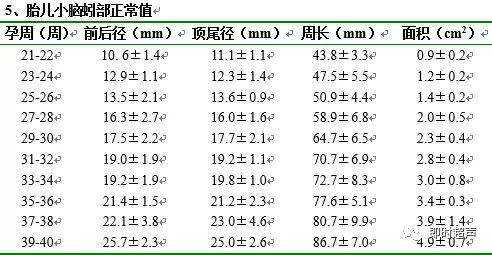 怀孕22周小脑横径范围是多少,胎儿小脑发育时间表  第2张