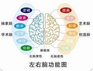 选择爱育幼童进行宝宝的全脑开发正确吗,胎儿前全脑发生的机率 第2张 选择爱育幼童进行宝宝的全脑开发正确吗,胎儿前全脑发生的机率 第2张
