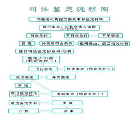 胎儿司法鉴定(胎儿司法鉴定程序过程) 第3张 胎儿司法鉴定(胎儿司法鉴定程序过程) 第3张