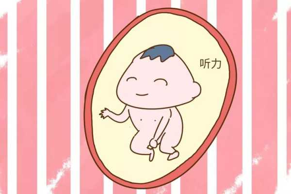 什么会影响胎儿听力(什么会影响胎儿听力发育) 第3张 什么会影响胎儿听力(什么会影响胎儿听力发育) 第3张