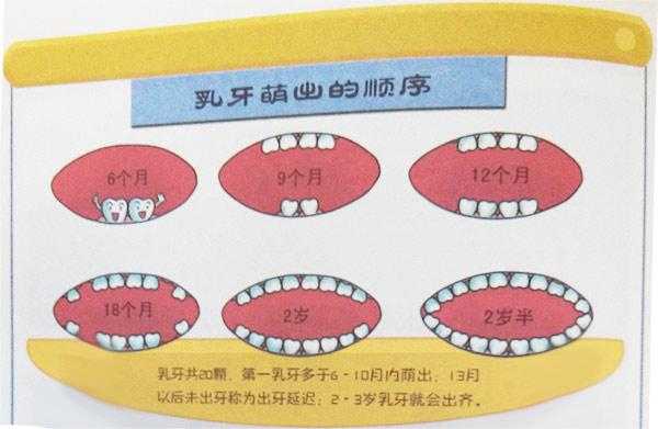 一周胎儿图(宝宝一周八个月了才长了七颗牙,怎么办?跟什么有关系) 第1张 一周胎儿图(宝宝一周八个月了才长了七颗牙,怎么办?跟什么有关系) 第1张