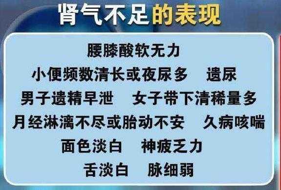 孕期肾气不足(孕期肾气不足的症状) 第1张 孕期肾气不足(孕期肾气不足的症状) 第1张