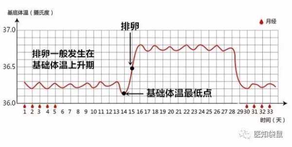 我在备孕,体温37度,是属于正常吗,备孕期体温变化图 第2张 我在备孕,体温37度,是属于正常吗,备孕期体温变化图 第2张