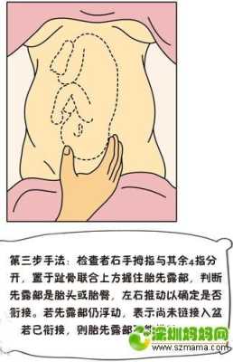 如何知道胎儿入盆(如果胎儿入盆了,那用手怎么摸的出来) 第1张 如何知道胎儿入盆(如果胎儿入盆了,那用手怎么摸的出来) 第1张