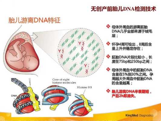 dna寻亲流程及注意事项,胎儿dna鉴定中心官网 第2张 dna寻亲流程及注意事项,胎儿dna鉴定中心官网 第2张