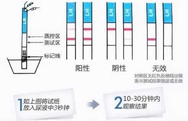 孕期测男女试纸（孕期测男女试纸）  第3张