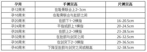孕期检查宫高（孕期检查宫高是什么意思）  第2张