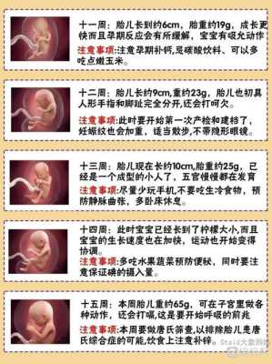 孕周40周胎儿发育标准是多少?孕晚期多吃什么对胎儿有好处,怀孕40周胎儿图片真人 第2张 孕周40周胎儿发育标准是多少?孕晚期多吃什么对胎儿有好处,怀孕40周胎儿图片真人 第2张