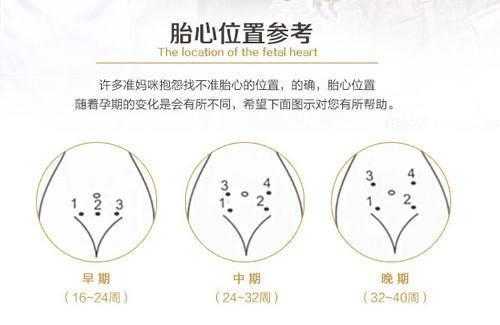 多长时间可以听到胎心?怎样听,胎儿胎心怎么听位置 第2张 多长时间可以听到胎心?怎样听,胎儿胎心怎么听位置 第2张