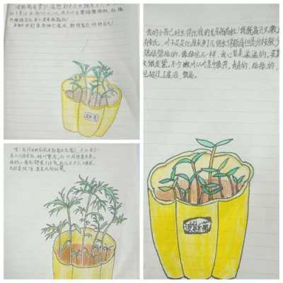 孕妇可以用植物日记酵母的护肤品吗,孕期日记怎么写100字 第3张 孕妇可以用植物日记酵母的护肤品吗,孕期日记怎么写100字 第3张