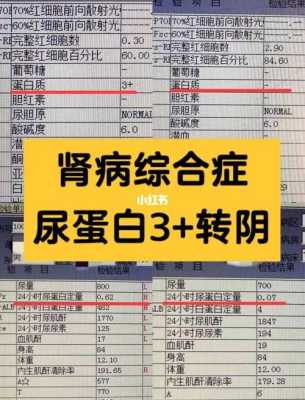孕期尿蛋白高会怎样(孕期尿蛋白高会怎样呢) 第2张 孕期尿蛋白高会怎样(孕期尿蛋白高会怎样呢) 第2张