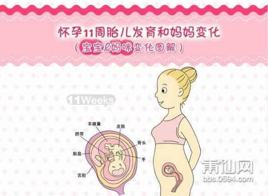婴儿三月指的是多少天,怀孕三月胎儿图片大全 第2张 婴儿三月指的是多少天,怀孕三月胎儿图片大全 第2张