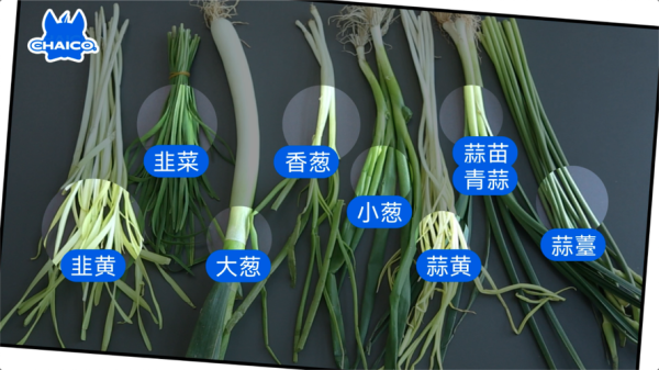 九个月宝宝可以吃蒜苗吗,孕妇吃蒜苗对胎儿有影响吗 第1张 九个月宝宝可以吃蒜苗吗,孕妇吃蒜苗对胎儿有影响吗 第1张