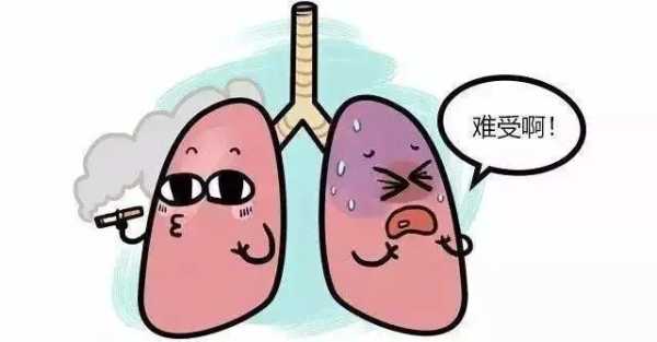 胎儿为什么会得隔离肺(胎儿为什么会得隔离肺炎呢) 第2张 胎儿为什么会得隔离肺(胎儿为什么会得隔离肺炎呢) 第2张
