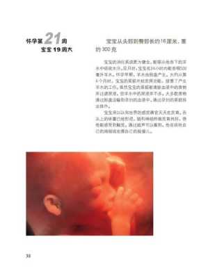 怀孕26周胎儿发育情况(怀孕26周胎儿发育情况如何) 第3张 怀孕26周胎儿发育情况(怀孕26周胎儿发育情况如何) 第3张
