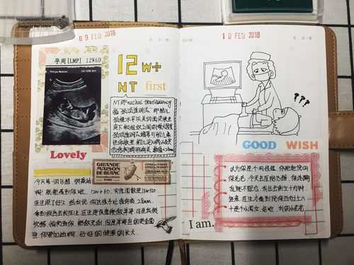 孕期日记本（孕妇日记本）  第2张